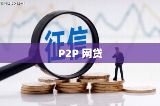 善化P2P 网贷