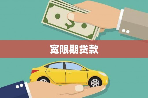 善化宽限期贷款