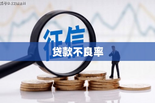 善化贷款不良率