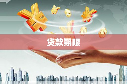 善化贷款期限