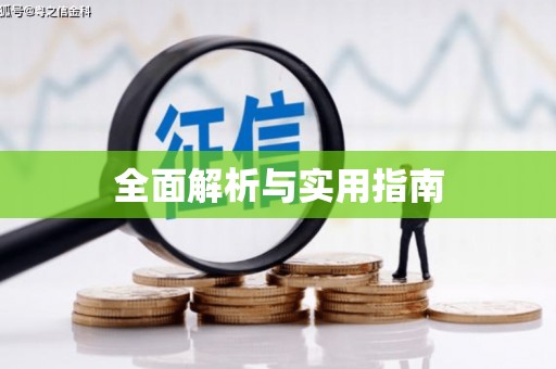 善化全面解析与实用指南