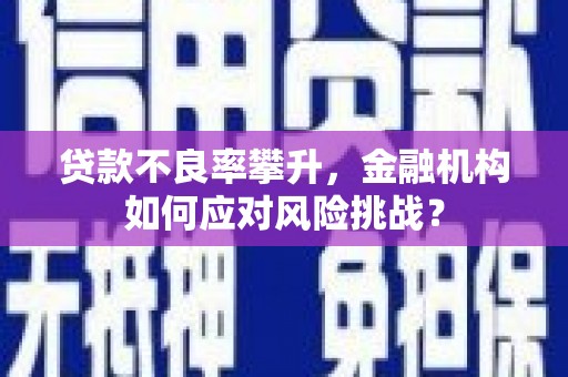 善化贷款不良率攀升，金融机构如何应对风险挑战？