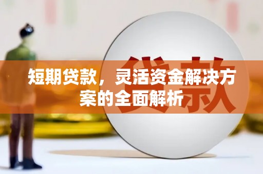 善化短期贷款，灵活资金解决方案的全面解析