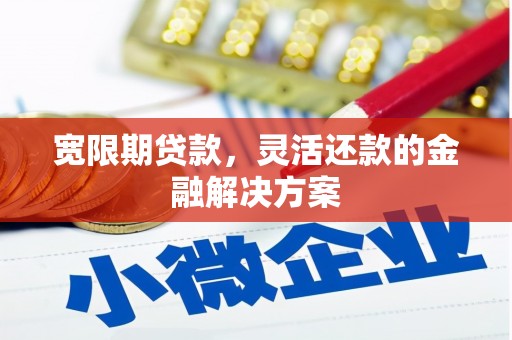 善化宽限期贷款，灵活还款的金融解决方案