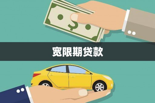 善化宽限期贷款