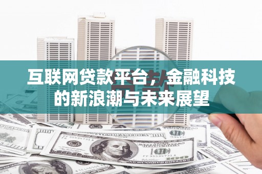 善化互联网贷款平台，金融科技的新浪潮与未来展望