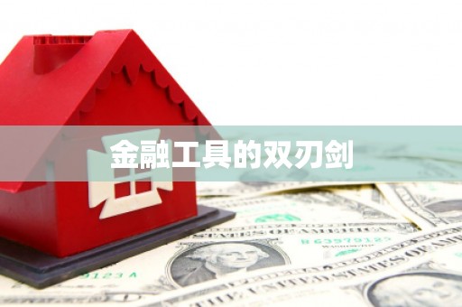 善化金融工具的双刃剑
