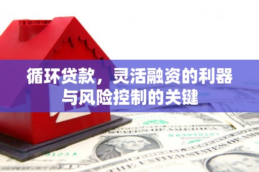 善化循环贷款，灵活融资的利器与风险控制的关键