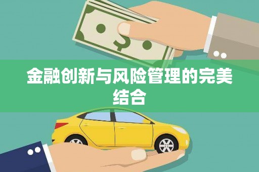 善化金融创新与风险管理的完美结合