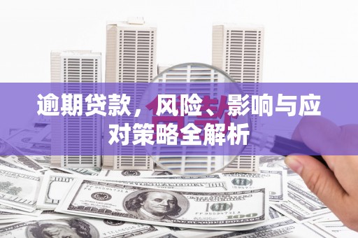 善化逾期贷款，风险、影响与应对策略全解析