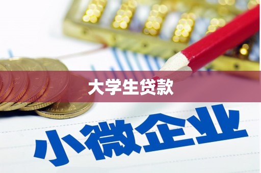 善化大学生贷款
