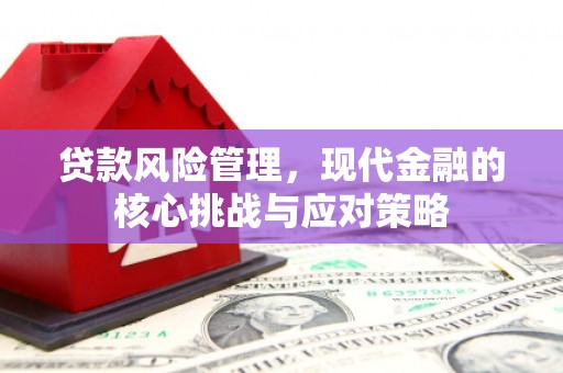 善化贷款风险管理，现代金融的核心挑战与应对策略
