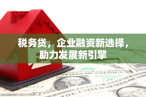 善化税务贷，企业融资新选择，助力发展新引擎
