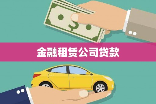 善化金融租赁公司贷款