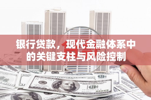 善化银行贷款，现代金融体系中的关键支柱与风险控制