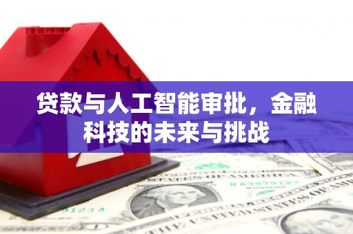 善化贷款与人工智能审批，金融科技的未来与挑战