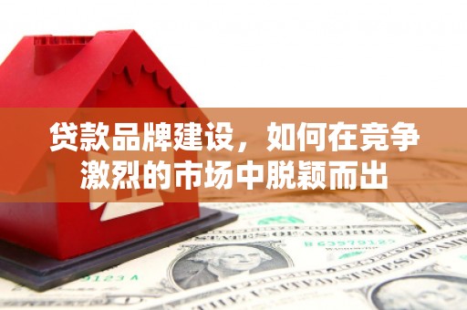 善化贷款品牌建设，如何在竞争激烈的市场中脱颖而出