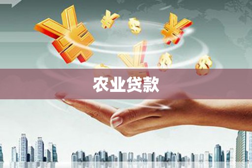 善化农业贷款