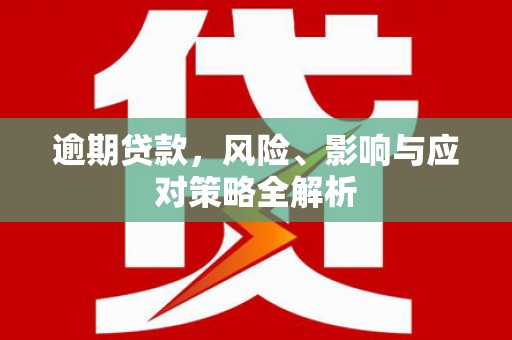 善化逾期贷款，风险、影响与应对策略全解析