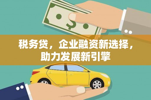 善化税务贷，企业融资新选择，助力发展新引擎