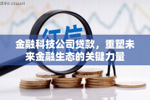 善化金融科技公司贷款，重塑未来金融生态的关键力量