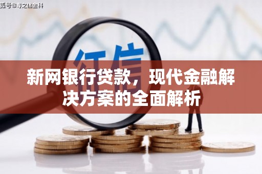 善化新网银行贷款，现代金融解决方案的全面解析