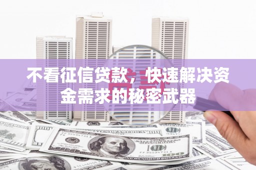 善化不看征信贷款，快速解决资金需求的秘密武器
