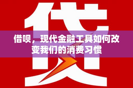善化借呗，现代金融工具如何改变我们的消费习惯