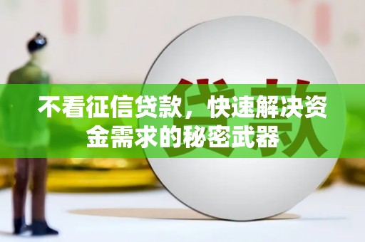 善化不看征信贷款，快速解决资金需求的秘密武器