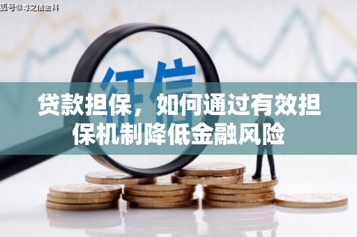 善化贷款担保，如何通过有效担保机制降低金融风险