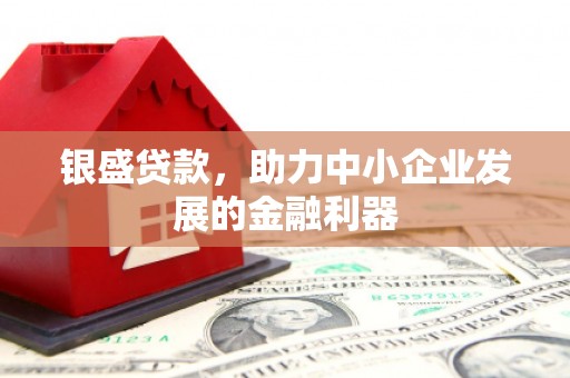 善化银盛贷款，助力中小企业发展的金融利器
