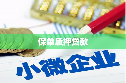 善化保单质押贷款