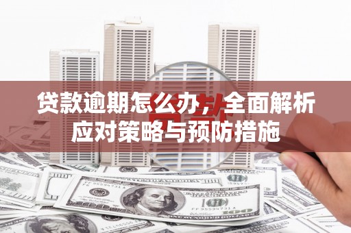 善化贷款逾期怎么办，全面解析应对策略与预防措施