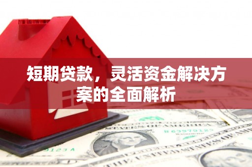 善化短期贷款，灵活资金解决方案的全面解析