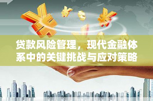 善化贷款风险管理，现代金融体系中的关键挑战与应对策略