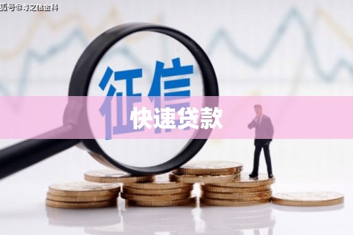 善化快速贷款