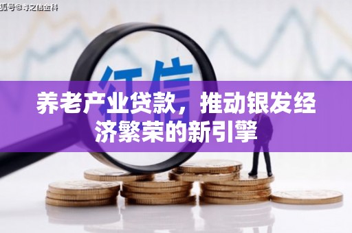 善化养老产业贷款，推动银发经济繁荣的新引擎