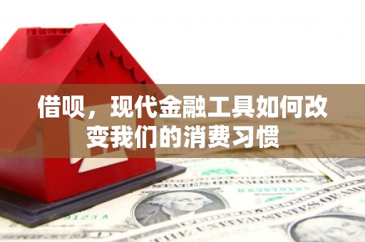 善化借呗，现代金融工具如何改变我们的消费习惯