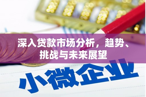 善化深入贷款市场分析，趋势、挑战与未来展望