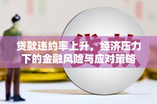 善化贷款违约率上升，经济压力下的金融风险与应对策略
