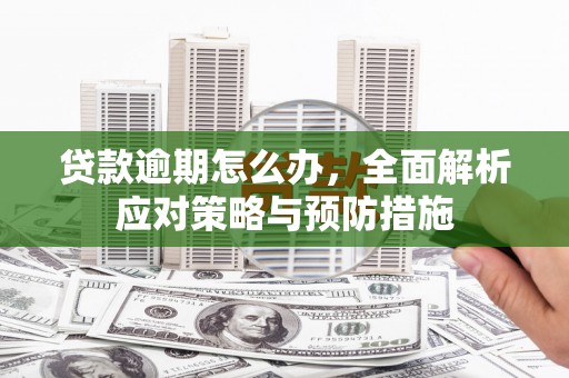 善化贷款逾期怎么办，全面解析应对策略与预防措施