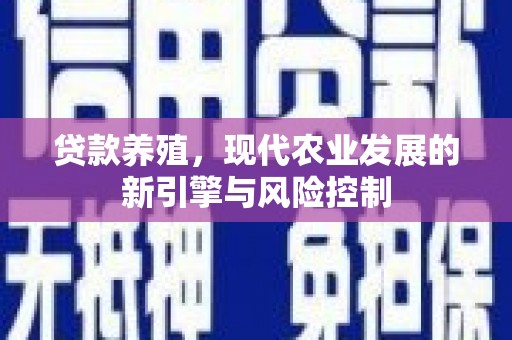 善化贷款养殖，现代农业发展的新引擎与风险控制