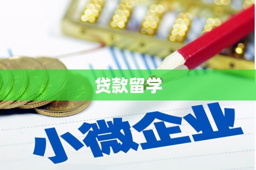 善化贷款留学