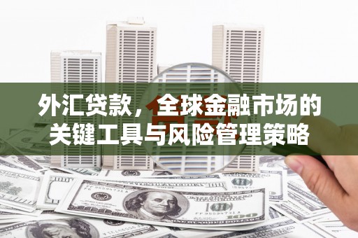 善化外汇贷款，全球金融市场的关键工具与风险管理策略