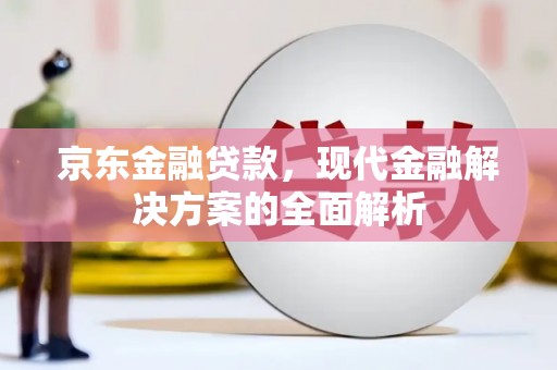 善化京东金融贷款，现代金融解决方案的全面解析