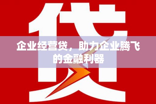 善化企业经营贷，助力企业腾飞的金融利器