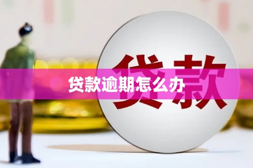 善化贷款逾期怎么办