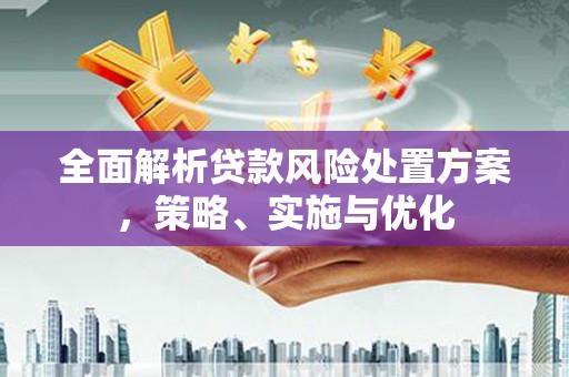 善化全面解析贷款风险处置方案，策略、实施与优化