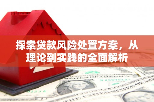 善化探索贷款风险处置方案，从理论到实践的全面解析