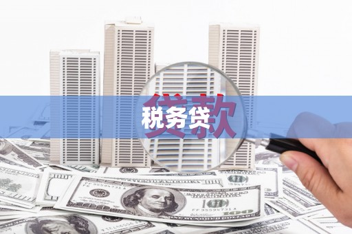 善化税务贷